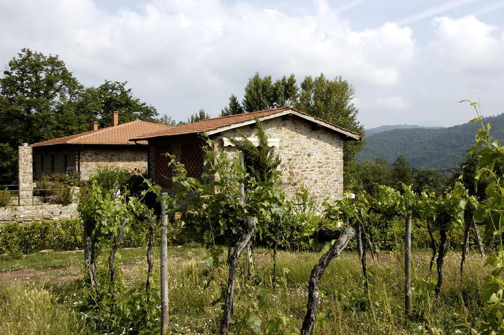 Agriturismo Castello Di Querceto 루콜레나 인 키안티 외부 사진